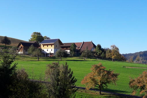 Bauernhof Bättwil